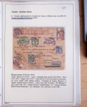 Collection de 126 plis : "Courriers aéropostaux vers et à partir de la Tunisie (1916 - 1943) dans un classeur de bureau blanc dont 4 plis Service postal aviation militaire sud tunisien
