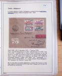 Collection de 126 plis : "Courriers aéropostaux vers et à partir de la Tunisie (1916 - 1943) dans un classeur de bureau blanc dont 4 plis Service postal aviation militaire sud tunisien