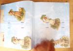 POSTCARDS