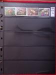 THEMATICS 1915-2010, Collection en 9 classeurs sur