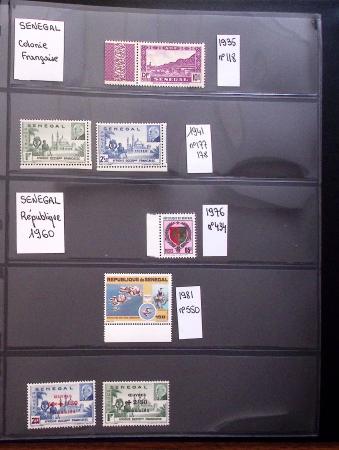 THEMATICS 1915-2010, Collection en 9 classeurs sur
