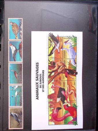 THEMATICS 1915-2010, Collection en 9 classeurs sur