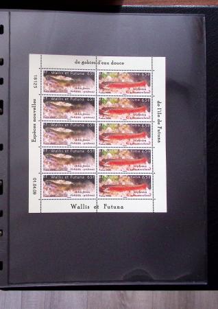 THEMATICS 1915-2010, Collection en 9 classeurs sur