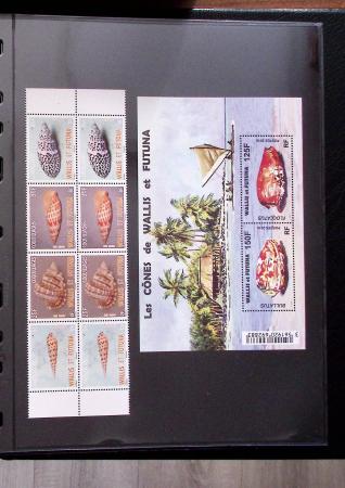 THEMATICS 1915-2010, Collection en 9 classeurs sur