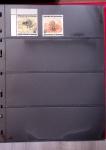 THEMATICS 1915-2010, Collection en 9 classeurs sur