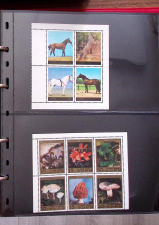 THEMATICS 1915-2010, Collection en 9 classeurs sur
