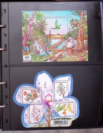 THEMATICS 1915-2010, Collection en 9 classeurs sur