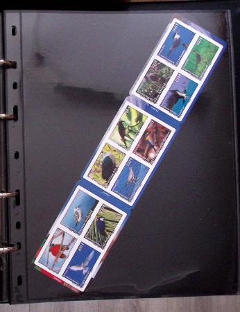 THEMATICS 1915-2010, Collection en 9 classeurs sur