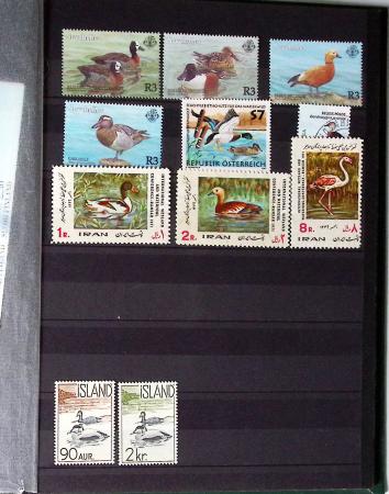 1850-1945, Mint & used selection in five albums or stockbooks,