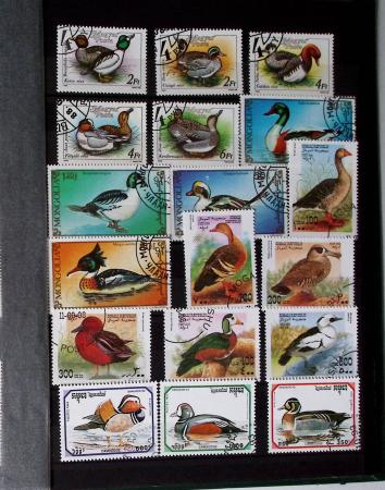 1850-1945, Mint & used selection in five albums or stockbooks,