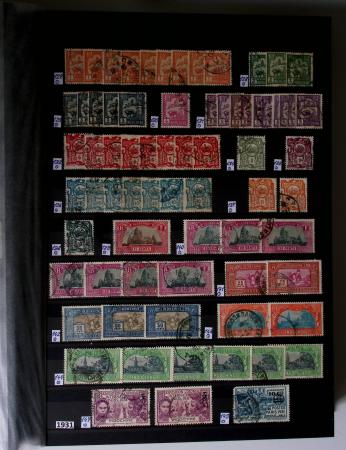 1859-1940, Ensemble de neufs et d'obl. en 19 classeurs