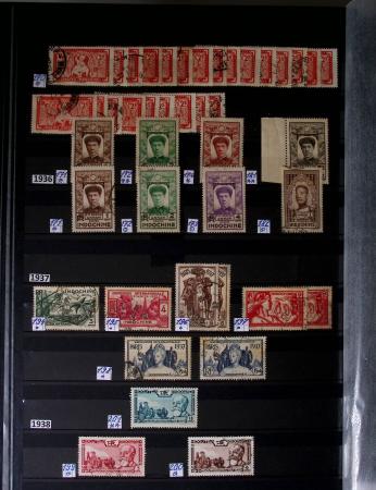 1859-1940, Ensemble de neufs et d'obl. en 19 classeurs
