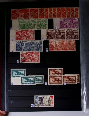 1859-1940, Ensemble de neufs et d'obl. en 19 classeurs