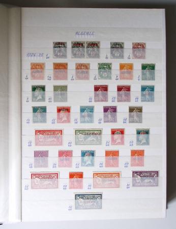 1859-1940, Ensemble de neufs et d'obl. en 19 classeurs