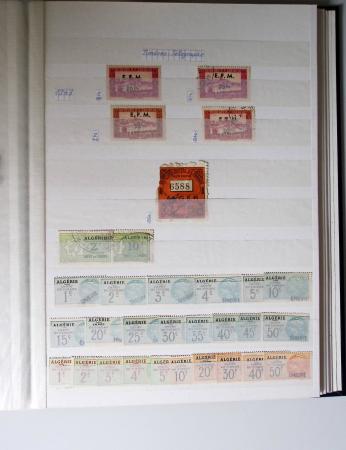 1859-1940, Ensemble de neufs et d'obl. en 19 classeurs