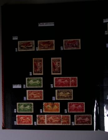 1859-1940, Ensemble de neufs et d'obl. en 19 classeurs