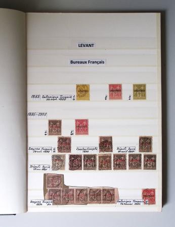 1859-1940, Ensemble de neufs et d'obl. en 19 classeurs