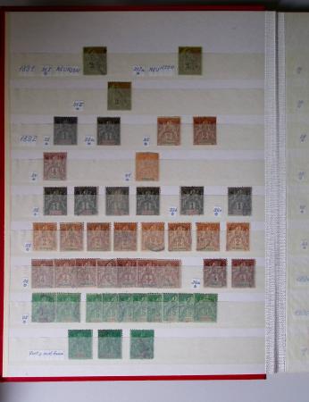 1859-1940, Ensemble de neufs et d'obl. en 19 classeurs
