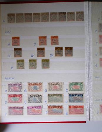 1859-1940, Ensemble de neufs et d'obl. en 19 classeurs