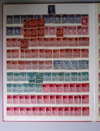 1859-1940, Ensemble de neufs et d'obl. en 19 classeurs