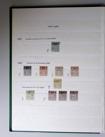1859-1940, Ensemble de neufs et d'obl. en 19 classeurs