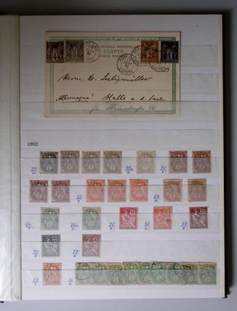 1859-1940, Ensemble de neufs et d'obl. en 19 classeurs