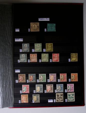1859-1940, Ensemble de neufs et d'obl. en 19 classeurs
