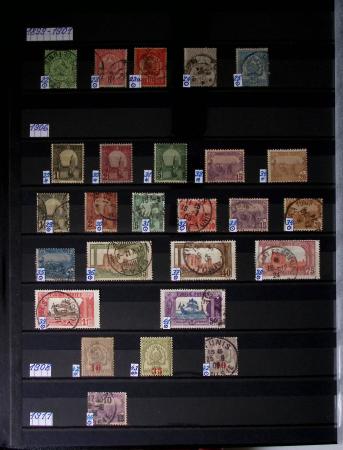 1859-1940, Ensemble de neufs et d'obl. en 19 classeurs