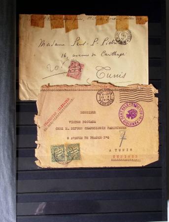 1859-1940, Ensemble de neufs et d'obl. en 19 classeurs