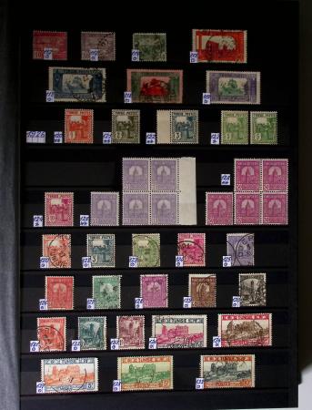 1859-1940, Ensemble de neufs et d'obl. en 19 classeurs