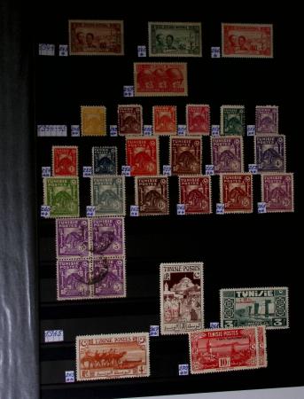 1859-1940, Ensemble de neufs et d'obl. en 19 classeurs