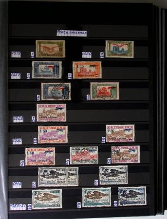 1859-1940, Ensemble de neufs et d'obl. en 19 classeurs
