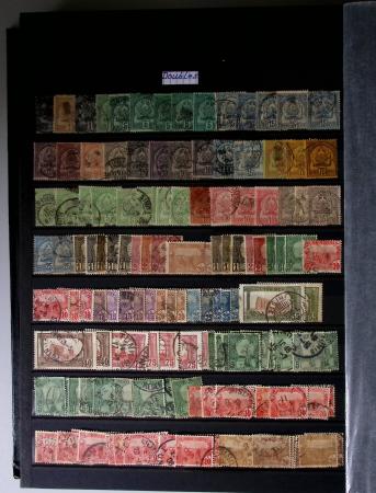 1859-1940, Ensemble de neufs et d'obl. en 19 classeurs