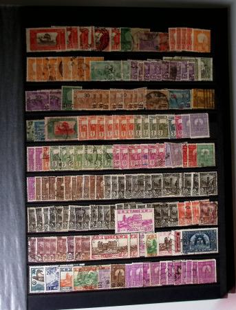 1859-1940, Ensemble de neufs et d'obl. en 19 classeurs