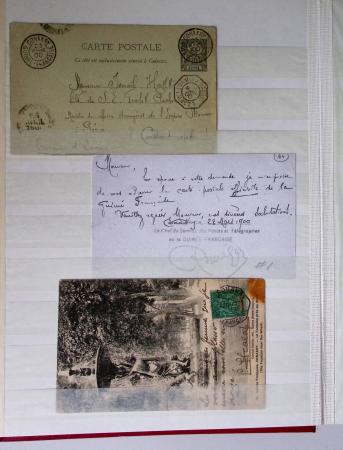 1859-1940, Ensemble de neufs et d'obl. en 19 classeurs