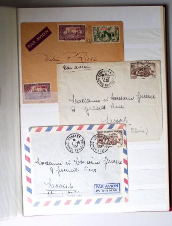 1859-1940, Ensemble de neufs et d'obl. en 19 classeurs