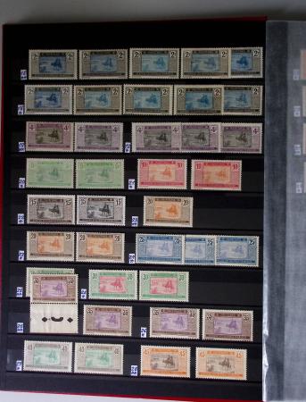 1859-1940, Ensemble de neufs et d'obl. en 19 classeurs