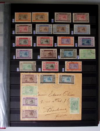 1859-1940, Ensemble de neufs et d'obl. en 19 classeurs