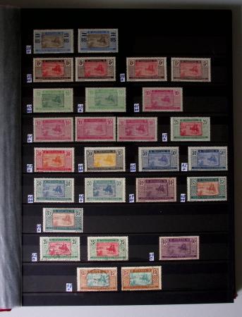 1859-1940, Ensemble de neufs et d'obl. en 19 classeurs