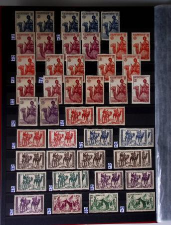 1859-1940, Ensemble de neufs et d'obl. en 19 classeurs