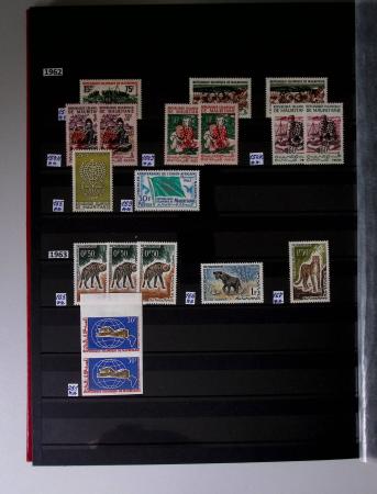 1859-1940, Ensemble de neufs et d'obl. en 19 classeurs
