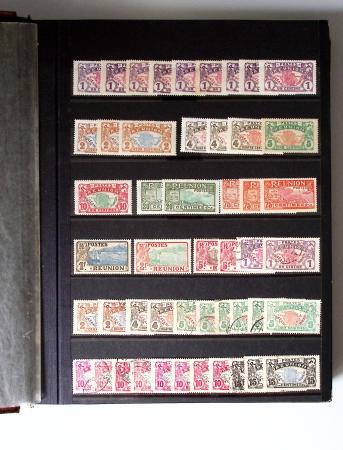 1859-1940, Ensemble de neufs et d'obl. en 19 classeurs