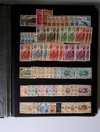 1859-1940, Ensemble de neufs et d'obl. en 19 classeurs