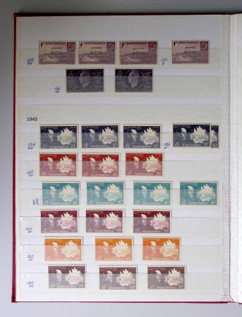 1859-1940, Ensemble de neufs et d'obl. en 19 classeurs
