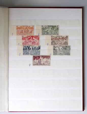 1859-1940, Ensemble de neufs et d'obl. en 19 classeurs