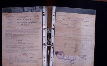 1748-1985, FISCAUX : importante collection de timbres