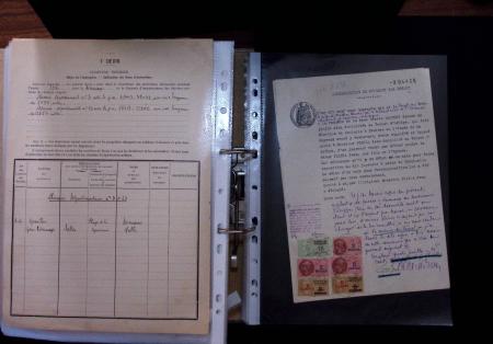 1748-1985, FISCAUX : importante collection de timbres