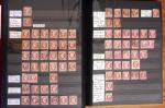 1849-1899, Stock de classique en 11 classeurs dont