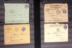 1849-1899, Stock de classique en 11 classeurs dont