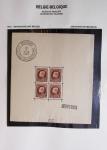 1849-2014 Attractive and extensive collection of Belgium